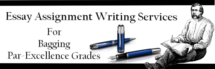 assignment writing service australia review
